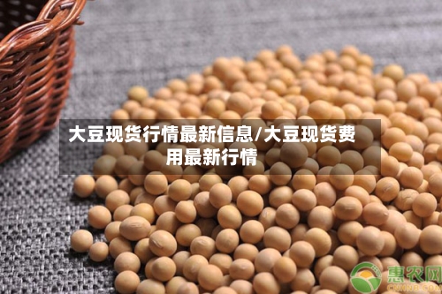 大豆现货行情最新信息/大豆现货费用最新行情-第2张图片
