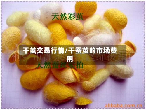 干茧交易行情/干蚕茧的市场费用