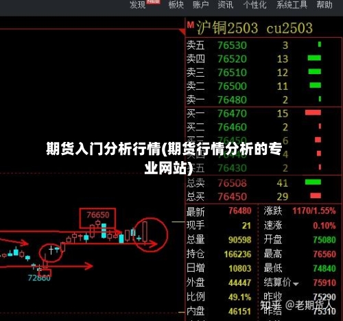 期货入门分析行情(期货行情分析的专业网站)
