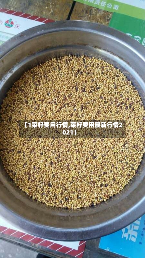 【1菜籽费用行情,菜籽费用最新行情2021】-第3张图片
