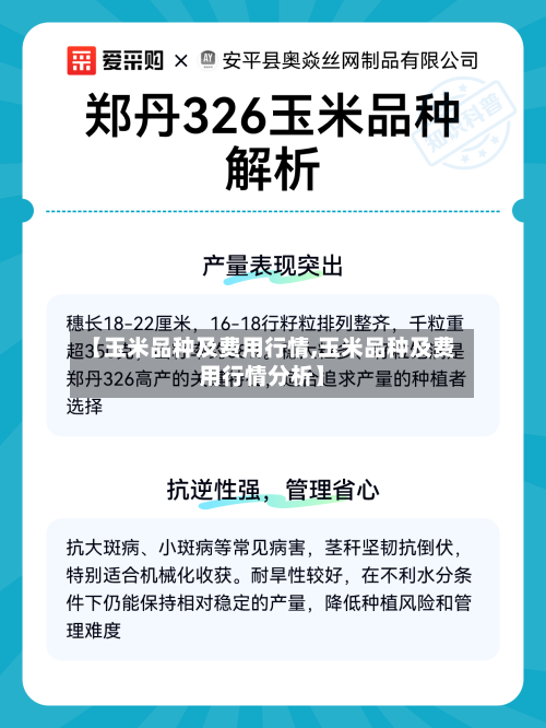 【玉米品种及费用行情,玉米品种及费用行情分析】-第3张图片