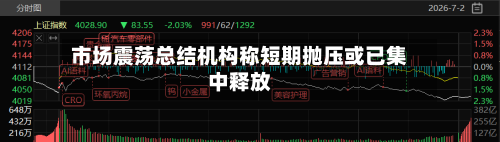 市场震荡总结机构称短期抛压或已集中释放