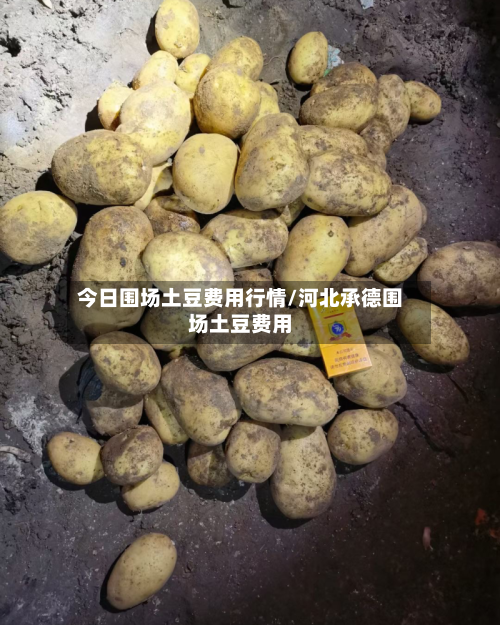 今日围场土豆费用行情/河北承德围场土豆费用