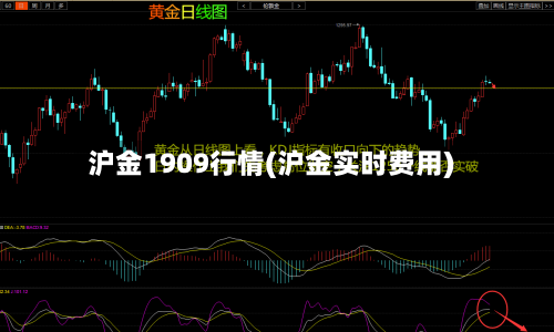 沪金1909行情(沪金实时费用)-第2张图片