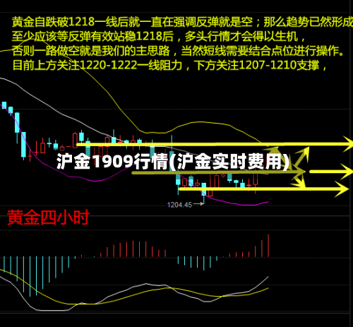 沪金1909行情(沪金实时费用)