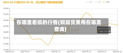 在哪里看铜的行情(铜现货费用在哪里查询)