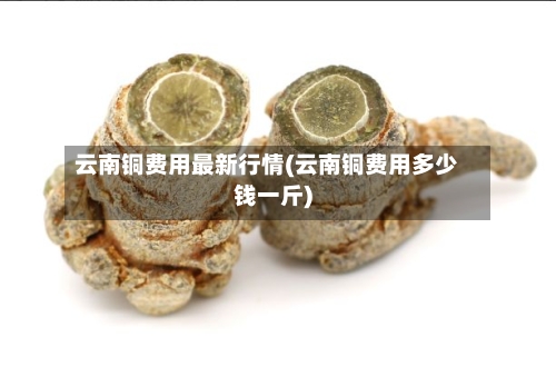 云南铜费用最新行情(云南铜费用多少钱一斤)-第2张图片