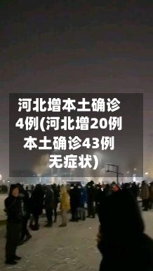 河北增本土确诊4例(河北增20例本土确诊43例无症状)