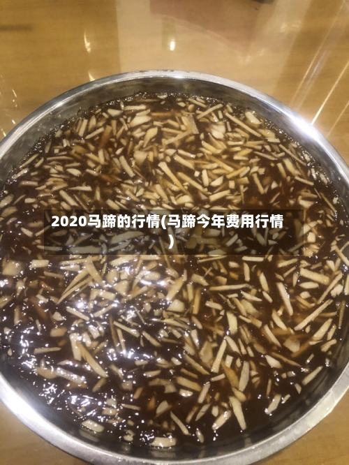 2020马蹄的行情(马蹄今年费用行情)