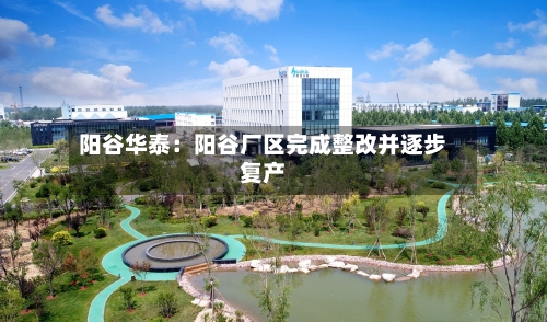 阳谷华泰：阳谷厂区完成整改并逐步复产