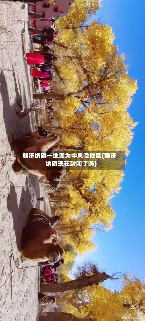 额济纳旗一地调为中风险地区(额济纳旗现在封闭了吗)