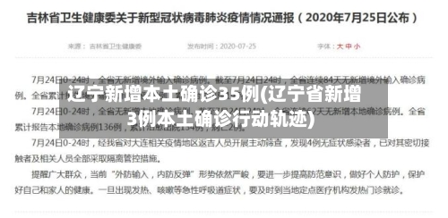 辽宁新增本土确诊35例(辽宁省新增3例本土确诊行动轨迹)