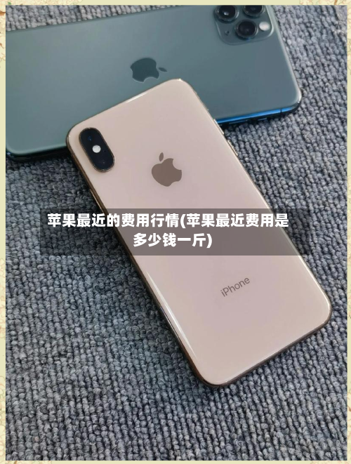 苹果最近的费用行情(苹果最近费用是多少钱一斤)-第2张图片