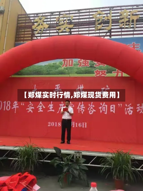 【郑煤实时行情,郑煤现货费用】