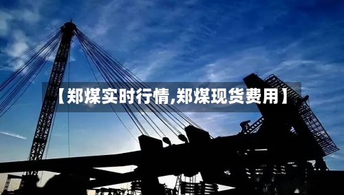 【郑煤实时行情,郑煤现货费用】-第2张图片