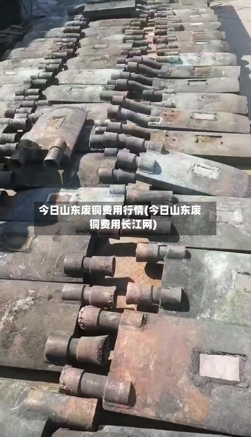今日山东废铜费用行情(今日山东废铜费用长江网)-第2张图片