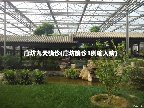 廊坊九天确诊(廊坊确诊1例输入病)-第3张图片