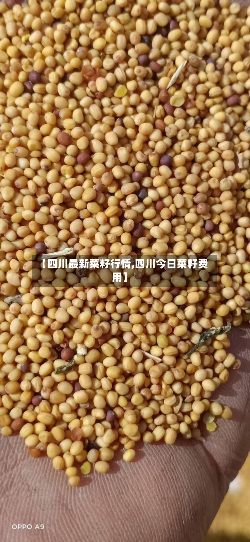 【四川最新菜籽行情,四川今日菜籽费用】-第2张图片