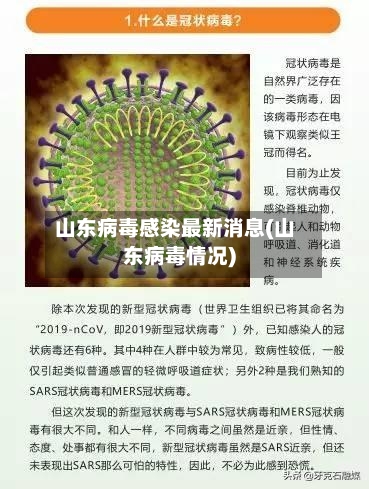 山东病毒感染最新消息(山东病毒情况)