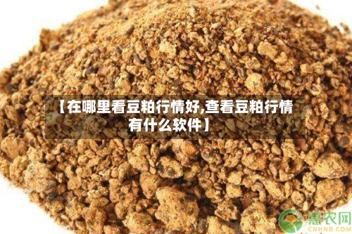 【在哪里看豆粕行情好,查看豆粕行情有什么软件】-第2张图片