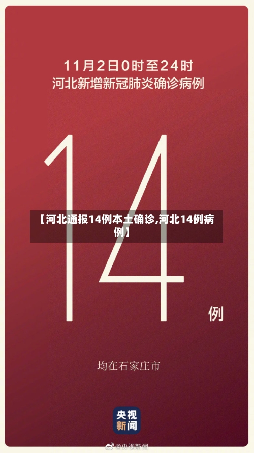 【河北通报14例本土确诊,河北14例病例】-第2张图片