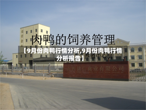 【9月份肉鸭行情分析,9月份肉鸭行情分析报告】-第2张图片