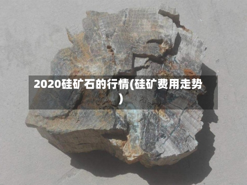 2020硅矿石的行情(硅矿费用走势)