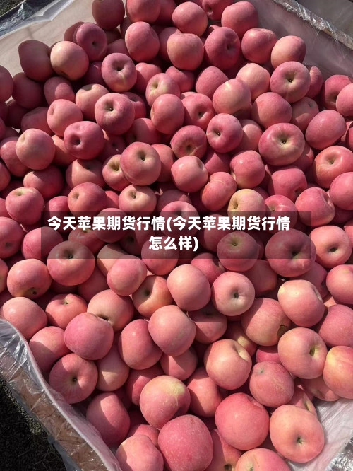 今天苹果期货行情(今天苹果期货行情怎么样)-第2张图片