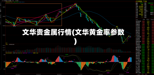 文华贵金属行情(文华黄金率参数)-第2张图片