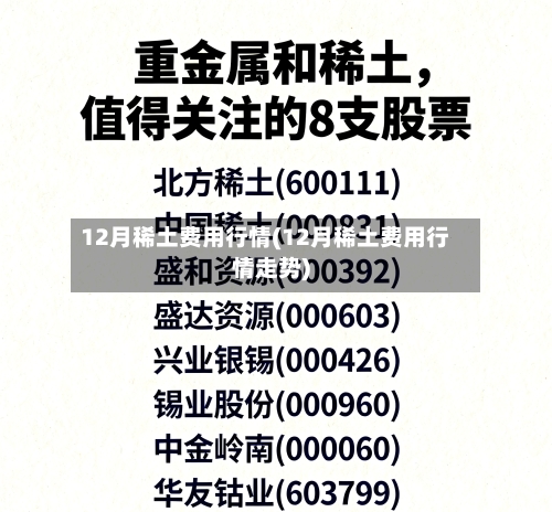 12月稀土费用行情(12月稀土费用行情走势)-第2张图片