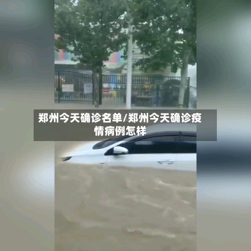 郑州今天确诊名单/郑州今天确诊疫情病例怎样-第2张图片