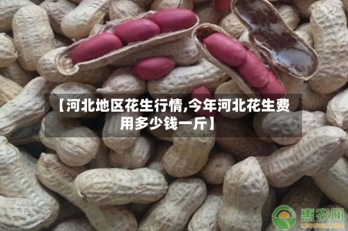 【河北地区花生行情,今年河北花生费用多少钱一斤】