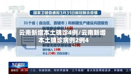 云南新增本土确诊4例/云南新增本土确诊病例2例4-第2张图片