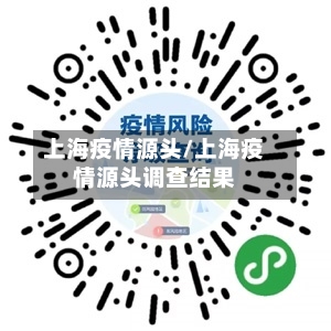 上海疫情源头/上海疫情源头调查结果-第2张图片