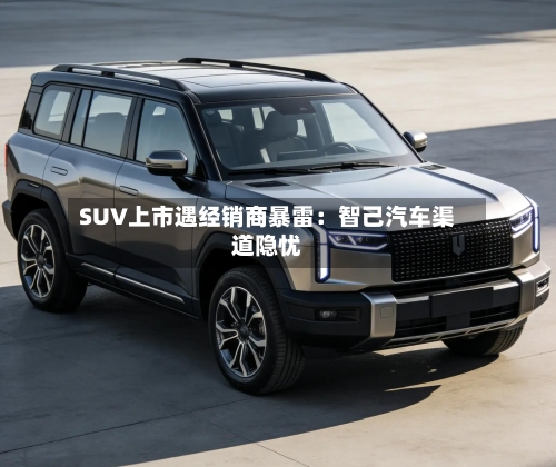 SUV上市遇经销商暴雷：智己汽车渠道隐忧-第3张图片