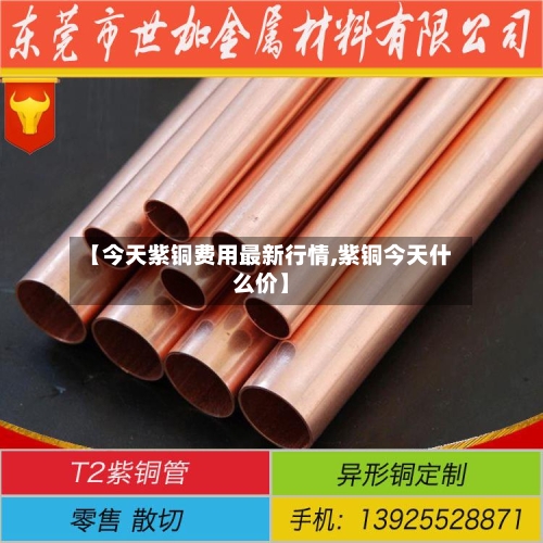 【今天紫铜费用最新行情,紫铜今天什么价】-第2张图片