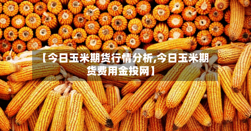 【今日玉米期货行情分析,今日玉米期货费用金投网】