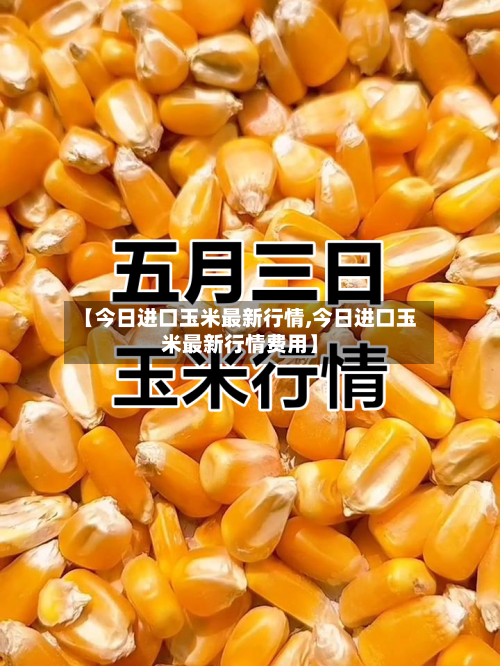 【今日进口玉米最新行情,今日进口玉米最新行情费用】