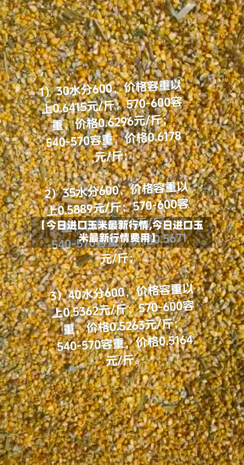 【今日进口玉米最新行情,今日进口玉米最新行情费用】-第2张图片