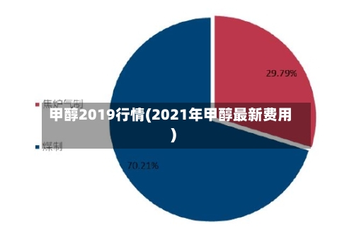 甲醇2019行情(2021年甲醇最新费用)
