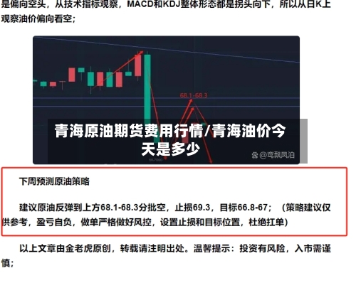 青海原油期货费用行情/青海油价今天是多少-第2张图片