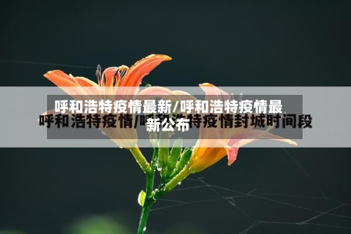 呼和浩特疫情最新/呼和浩特疫情最新公布-第2张图片