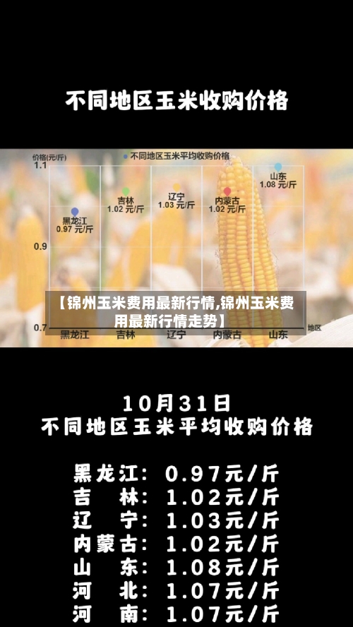 【锦州玉米费用最新行情,锦州玉米费用最新行情走势】