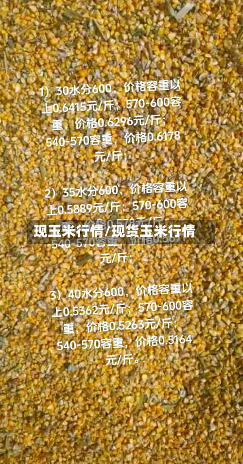 现玉米行情/现货玉米行情
