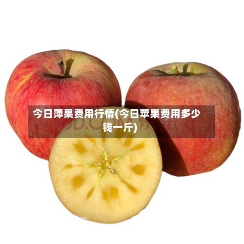 今日萍果费用行情(今日苹果费用多少钱一斤)