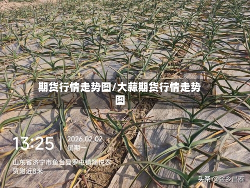 期货行情走势图/大蒜期货行情走势图