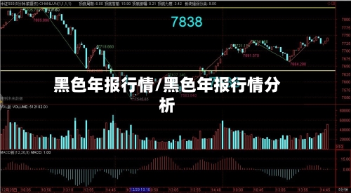 黑色年报行情/黑色年报行情分析-第3张图片
