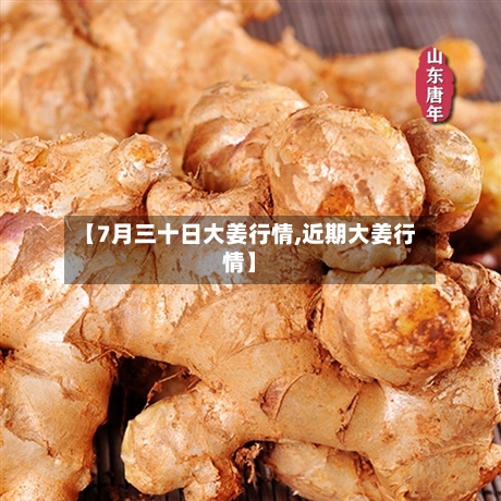 【7月三十日大姜行情,近期大姜行情】