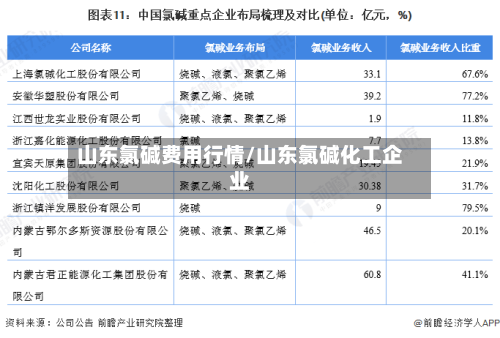 山东氯碱费用行情/山东氯碱化工企业-第2张图片