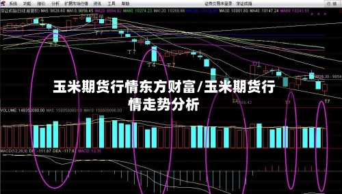 玉米期货行情东方财富/玉米期货行情走势分析-第3张图片